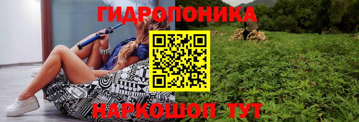 Каннабис индика Учалы